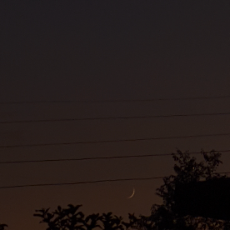 Rana-Freelancer in Shimla,India