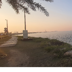 Mahrukh Hussain-Freelancer in Jeddah,Saudi Arabia