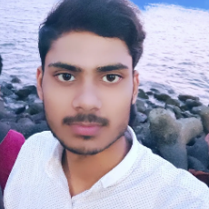 Priyanshu Raj-Freelancer in Latehar jharkhand,India