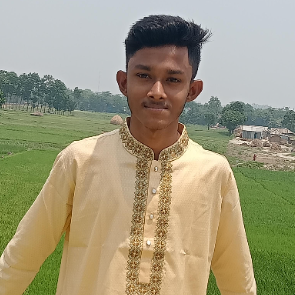 Md Ashraful-Freelancer in Dhaka,Bangladesh