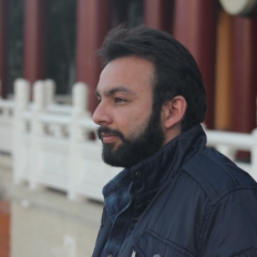 Nitin Arora-Freelancer in Pune,India