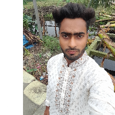 Alamin Islam-Freelancer in Rangpur City,Bangladesh