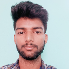 Harshavardhan Meti-Freelancer in Bangalore,India