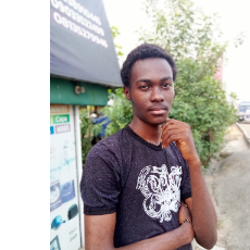 Chukwuemeka Edobeatu-Freelancer in Yenagoa,Nigeria