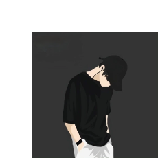 Nayem Ahmed-Freelancer in Sonam Gunj,Bangladesh