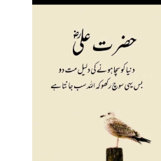 Hafiza Zara-Freelancer in Lahore,Pakistan