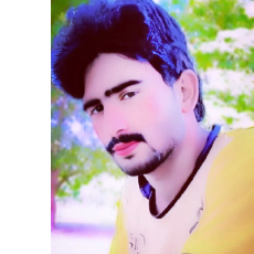 Mohsin Ali-Freelancer in Bhakkar,Pakistan