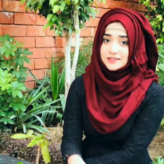 Neelam Hassan-Freelancer in Sarai Alamgir,Pakistan