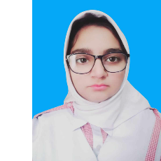 Bushra Ali-Freelancer in Chishtian, Bahawalnagar,Pakistan