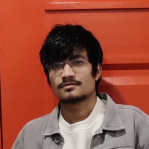 Mohammad Aamir-Freelancer in Bhilai,India