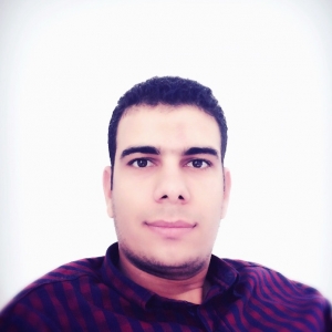 Ahmed Elsayed-Freelancer in Fakous,Egypt