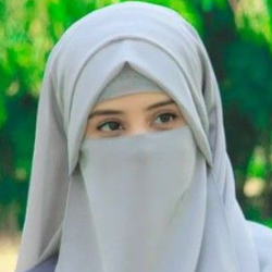 Sheikh Z-Freelancer in Mian channu,Pakistan