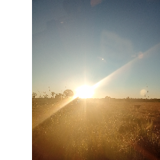 Frances Gutierrez-Freelancer in Lismore NSW,Australia