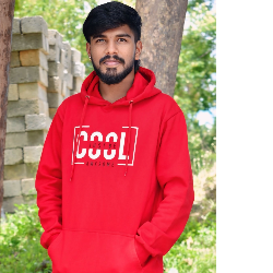 Dhanush H N-Freelancer in Bengaluru,India