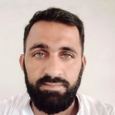 Malik Zain-Freelancer in Multan,Pakistan