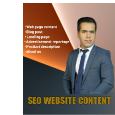 Ali Shirin Abadi-Freelancer in Nuremberg,Germany