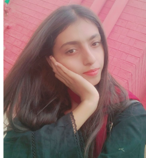 Mahnoor-Freelancer in Newyork,Pakistan