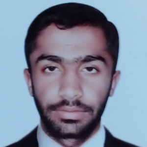 Noman Expert-Freelancer in Hyderabad,Pakistan