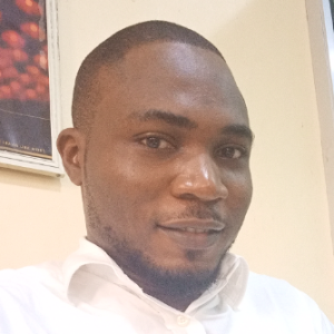 Olawumi Segun-Freelancer in Ikeja,Nigeria