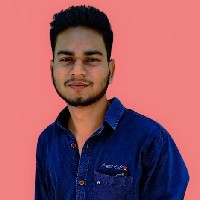 Raj Arya-Freelancer in Moradabad Division,India