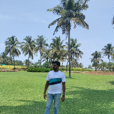 Nirmalraj Chandrasekaran-Freelancer in Chennai,India