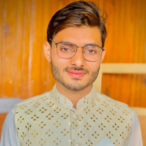 Ameer Tayyab-Freelancer in Sahiwal District,Pakistan