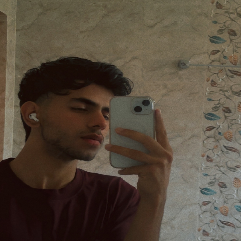 Naveed Ajaz-Freelancer in Srinagar,India