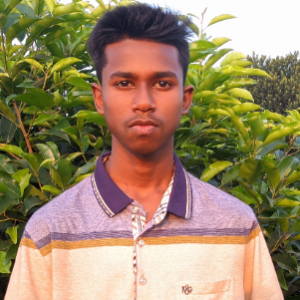 Md Mahmudul Hasan-Freelancer in Dhaka,Bangladesh
