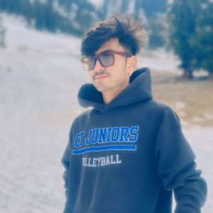 SAIDAN ALI-Freelancer in Gilgit,Pakistan