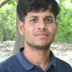 Dileep Kumar-Freelancer in Chandigarh,India