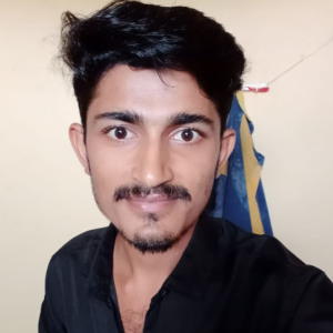 Mahesh Dangi-Freelancer in Indore,India