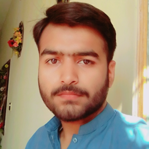 Syed Taha Ali-Freelancer in Rawalpindi,Pakistan