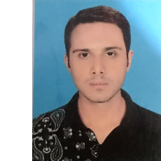 Ahmad Hassan Qureshi-Freelancer in Karachi,Pakistan