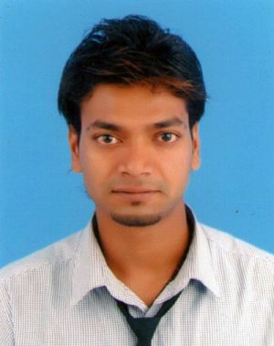 Mirza Mohsin-Freelancer in bangalore,India