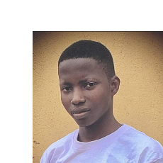 Akolade Festus-Freelancer in Nigeria,Nigeria