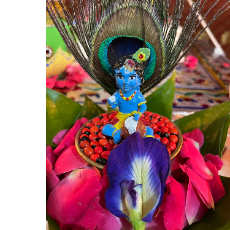 Roopashree Panchal-Freelancer in Bidar,India