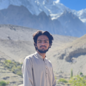 qahir ali-Freelancer in gilgit,Pakistan