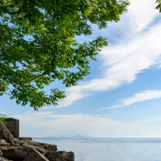 Maimuna Munni-Freelancer in Sylhet,Bangladesh