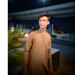 Hussain Raja Malik-Freelancer in Kandhkot,Pakistan
