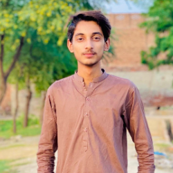 Muhammad Harmaan-Freelancer in Faisalabad,Pakistan