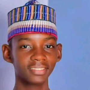 Abdulazeez Bello-Freelancer in GOMBE,Nigeria