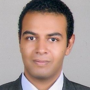 Hazem Tawfik-Freelancer in Alexandria,Egypt