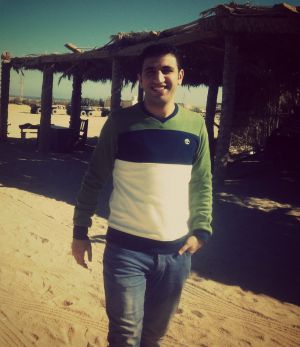Mostafa El-arabi-Freelancer in Cairo,Egypt