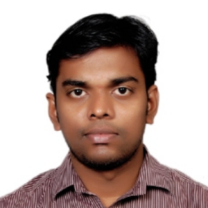 Damodaran Narayanaswamy-Freelancer in Hyderabad,India