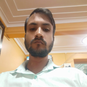Sudheer Kumar-Freelancer in Patna,India