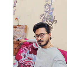 Abib Hafiz-Freelancer in Noida,India