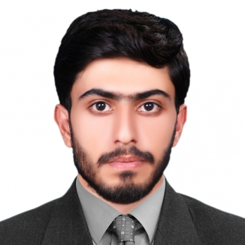 Muhammad Tauqeer-Freelancer in Aloch,Pakistan