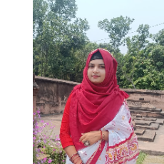 Md Nozrul-Freelancer in ,Bangladesh