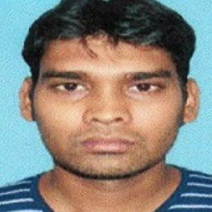 Biplab Pramanik-Freelancer in Rampurhat,India