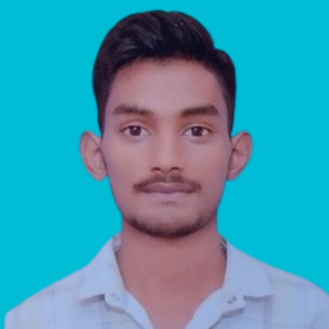 Indresh Maurya-Freelancer in khalilabad,India